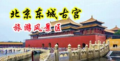 美国中年妇女被黑屌操逼视频中国北京-东城古宫旅游风景区